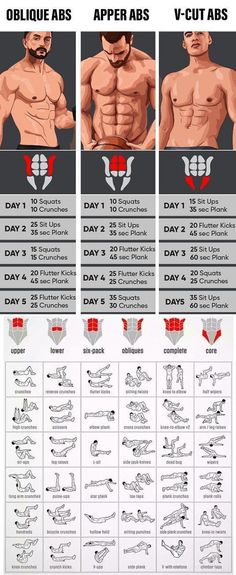 an info sheet shows how to do the upper and lower body workouts for men