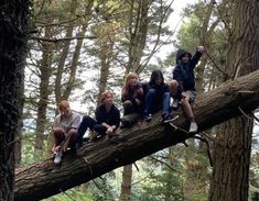 five people sitting on a tree branch in the woods