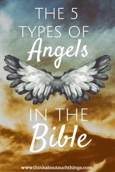 the five types of angels in the bible, including an angel's wings and clouds