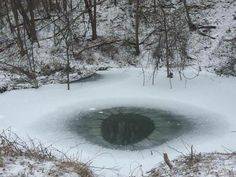 a hole in the snow surrounded by trees