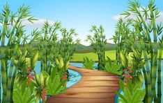 a wooden path through the bamboo trees by the river illustration for children's books