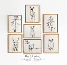 six framed pictures of animals are hanging on the wall