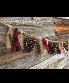 pine cones and burlocks are hung on a rustic wooden plank wall with red ribbon