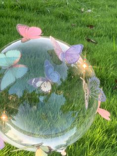 a bubble filled with lots of butterflies on top of green grass in the middle of a field