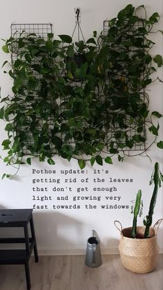 there is a plant hanging on the wall next to a potted plant and a chair