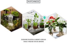 indoor water garden ideas that freshen your room