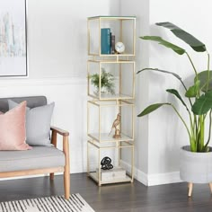 a living room filled with furniture and a potted plant on top of a shelf