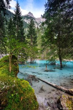 the blue water is surrounded by trees and mossy rocks in the middle of the forest