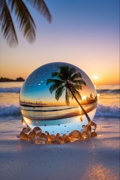 a glass ball with a palm tree in it on the beach