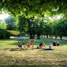 several people sitting on the grass in a park with their bikes parked next to them