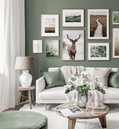 a living room with green walls and pictures on the wall above the white couches