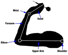 an image of a diagram showing the parts of a hand