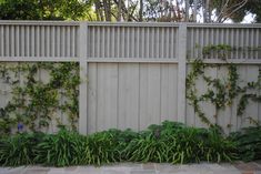 a white fence with green plants growing on it