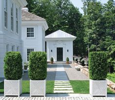 two pictures side by side, one in white and the other in black with potted plants