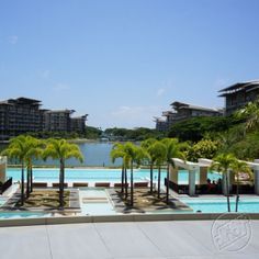 an outdoor swimming pool with palm trees in the foreground and apartment buildings in the background