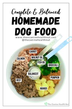 Beef and Salmon Homemade Dog Food Recipe - bowl of dog food contains beef, salmon, carrots, broccoli, pumpkin, mango, fish oil, walnut oil, and balanceIT supplement. Homemade Dog Food Recipes For Large Dogs, Raw Food Diet For Dogs, Dogs Recipes, Home Cooked Dog Food, Cook Dog Food, Raw Dog Food Diet