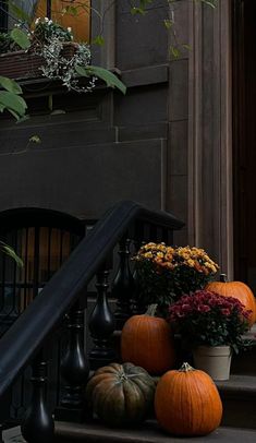 pumpkins and flowers are sitting on the steps