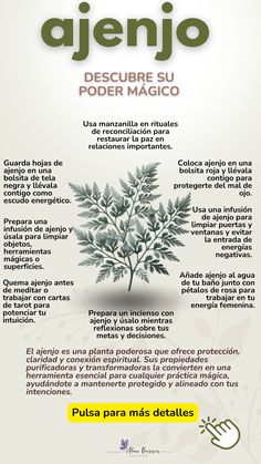 🌿✨ Descubre la magia del ajenjo: protección contra energías negativas, limpieza espiritual y conexión con planos intuitivos. Aprende cómo usar esta planta mística en rituales de purificación, transformación y viajes astrales. ¡Conecta con su poderosa energía! 💫🌙 #AjenjoMágico #LimpiezaEnergética #ProtecciónEspiritual #RitualesMágicos #ConexiónEspiritual Cartagena Colombia Travel, Artemisia Absinthium, Magic Crafts, Colombia Travel, Ritual, Beauty Hacks, Things To Do