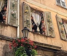 two people are looking out the windows of an old building with flowers in front of them