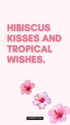 pink flowers with the words hibiscuss kisses and tropical wishes on it's side