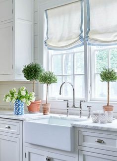 two potted plants sit on the counter in front of a window with white cabinets