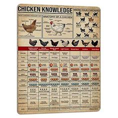 an old poster with chickens on it's side and the words chicken knowledge written below