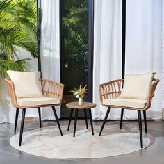 two chairs sitting on top of a rug in front of a window next to a potted plant