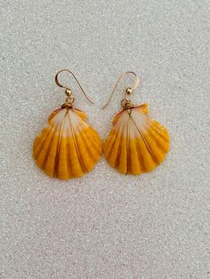 Hawaii genuine sunrise shell gold wire wrapped dangling earrings. The ear wires are 14K gold filled and nickel free making them great for sensitive ears. These indigenous precious shells come from the beaches of the Hawaiian islands. This exact pair may have been sold, but one can be made for you that is similar and just as beautiful! Each shell is uniques and therefore the individual appearance of the shells may vary. A great keepsake gift for someone special! Beachy Gold Dangle Earrings, Handmade 14k Gold Filled Beach Earrings, Handmade 14k Gold Filled Earrings For Beach, Handmade 14k Gold-filled Earrings For Beach, Gold 14k Gold Filled Earrings For Beach, Handmade Gold Shell With Beachy Style, Beach Wire Wrapped Shell, Beachy Gold Shell Earrings, Ocean-inspired Wire Wrapped Shell