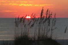 the sun is setting over the ocean with sea oats