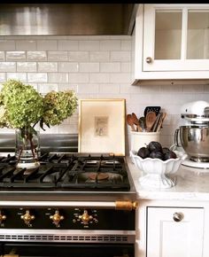 a stove top oven sitting in a kitchen next to a potted plant and pan