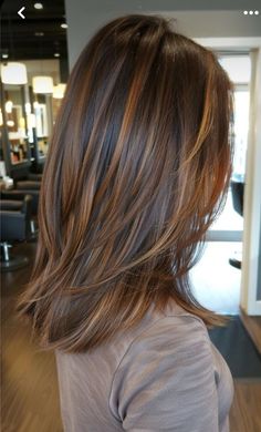 Perfect Highlights For Brown Hair, Carmel Low Lights On Brown Hair, Foil Highlights Brown Hair Dark, Fall Color Hair 2024, Cool Brown Lowlights, Fall 2024 Brunette Hair, Sunkissed Hair Brunette Short, Brunette Hair Color With Highlights And Lowlights, Balayage Hair On Brown Hair