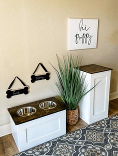 a dog house with two bowls and a plant