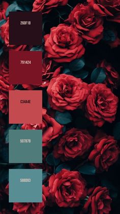 Main Point, Color Design Inspiration, Hex Color Palette, Color Palette Challenge, House Color Palettes, Red Color Schemes, Red Colour Palette, Color Schemes Colour Palettes, Palette Art