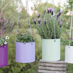 four tin can planters hanging from chains with lavenders and other flowers in them