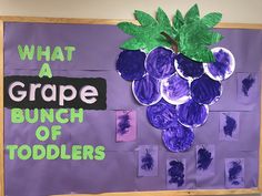 a bulletin board with grapes on it that says what a grape bunch of toddlers