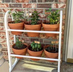 a rack with potted plants on it that says diy quilt rack herb planter