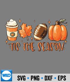 the words tis the season with pumpkins, coffee cup and leaves on a gray background