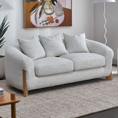 a living room scene with focus on the sofa