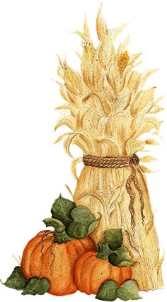 a watercolor painting of pumpkins and corn on the cob with a burlock