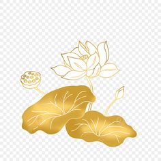 gold leaves and flowers on a white background, with no background clipart png