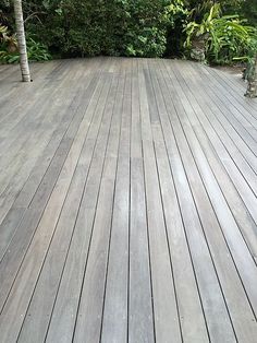 an empty wooden deck surrounded by trees and bushes