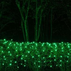 green lights are glowing in the dark near bushes and trees on a night - time walk