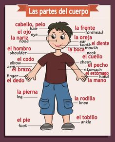 English Classroom Posters, Spanish Flashcards, Spanish Words For Beginners, Basic Spanish Words