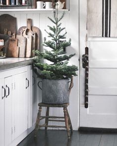 a potted christmas tree sitting on top of a wooden stool next to a kitchen counter