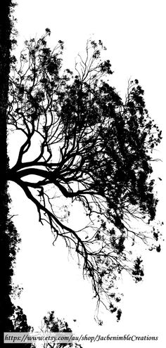 a black and white photo of a tree with no leaves