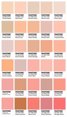 pantone's color chart with the names and colors in each section on it