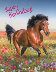 a happy birthday card with a horse running in a field of flowers and daisies