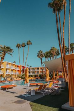 an outdoor swimming pool with lounge chairs and palm trees