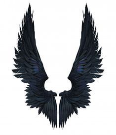 two black wings on a white background