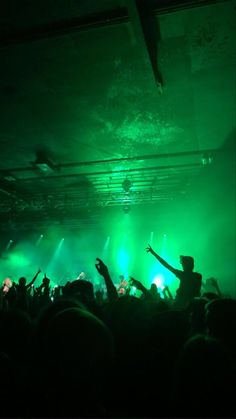 a crowd at a concert with their arms in the air